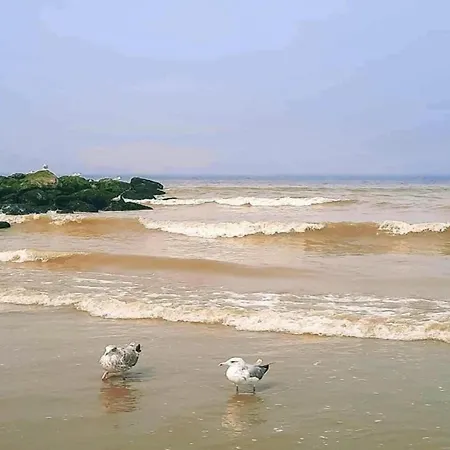 In Koksijde For 5 Persons *