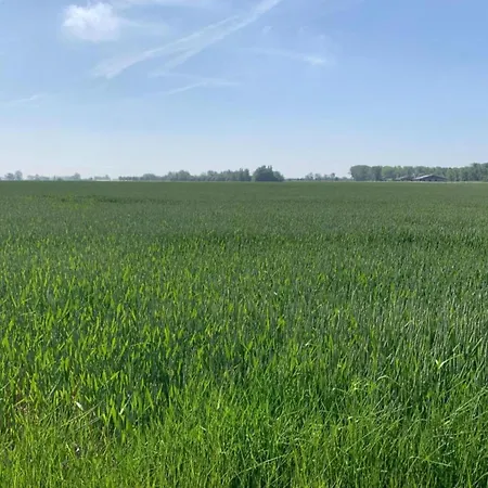 In Koksijde For 5 Persons Nieuwpoort